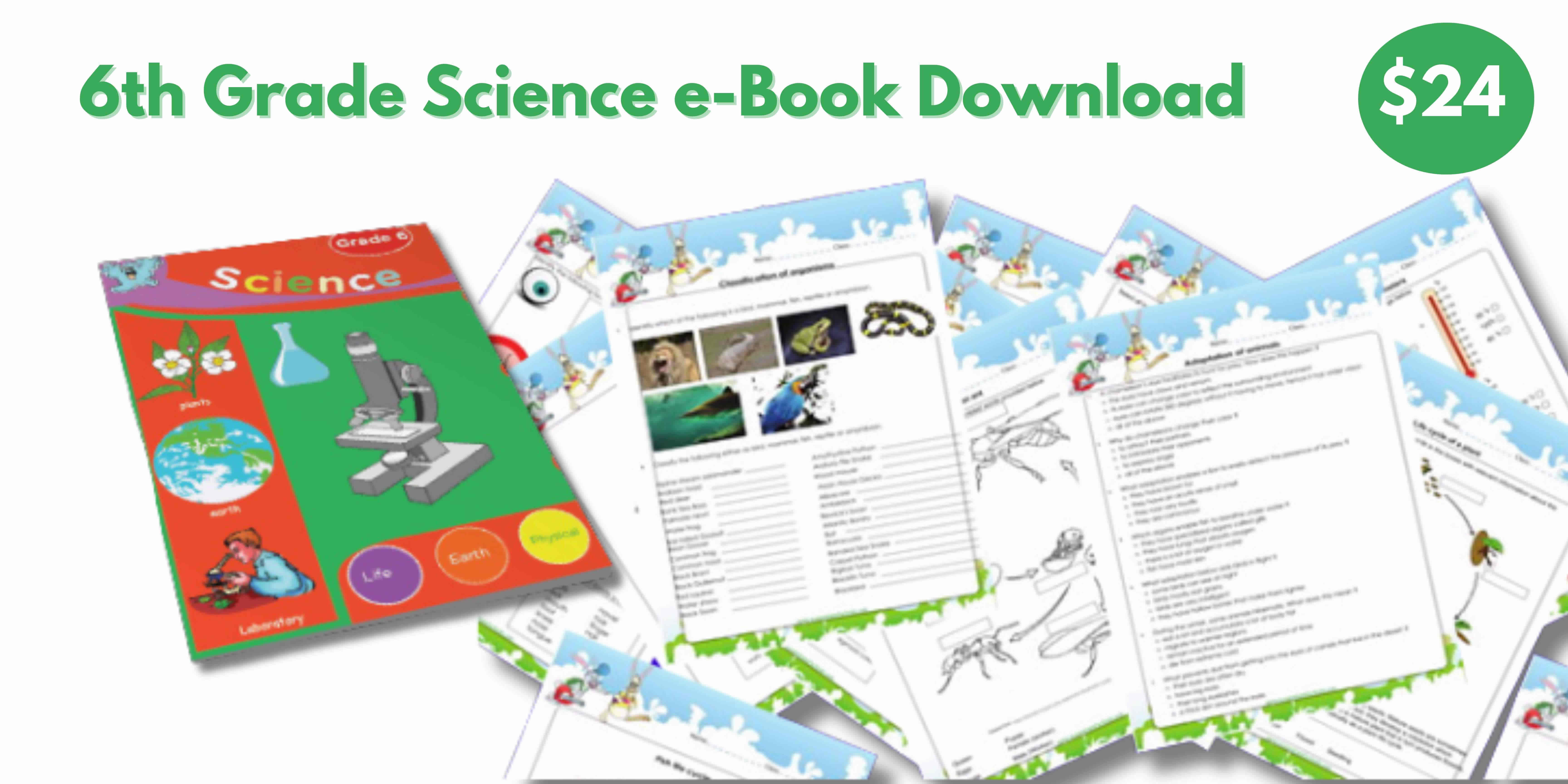 4 to 6th grade worksheet downloads